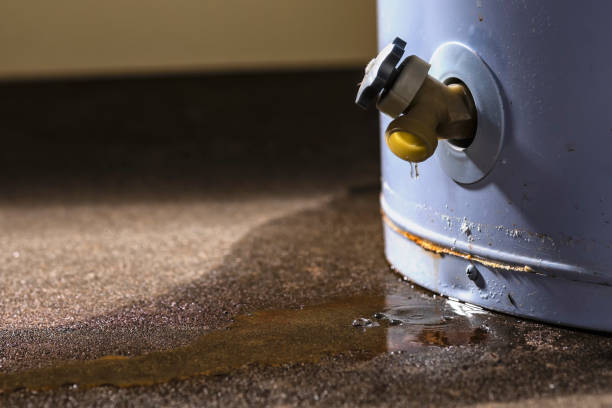 Best Flood damage cleanup  in Denmark, WI