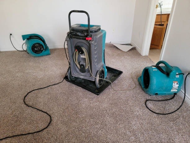 Best Water damage restoration mold remediation  in Denmark, WI