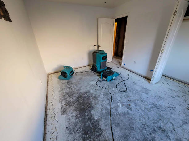 Best Water damage cleanup near me  in Denmark, WI