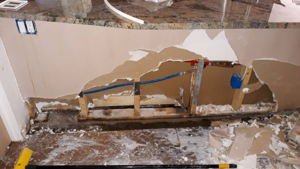 Best Basement water damage restoration  in Denmark, WI