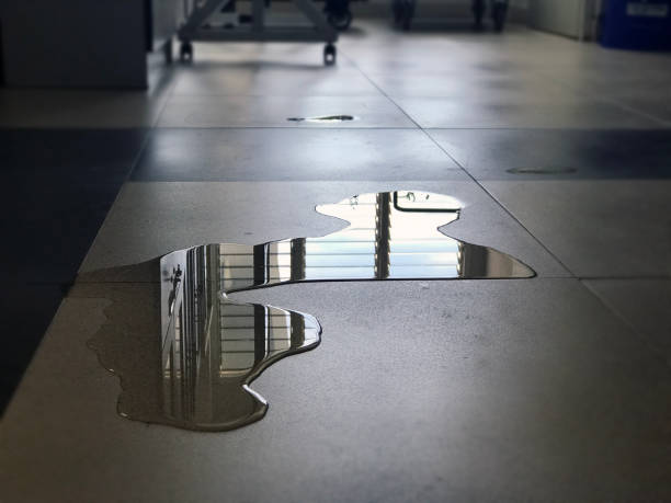 Best Commercial water damage restoration  in Denmark, WI