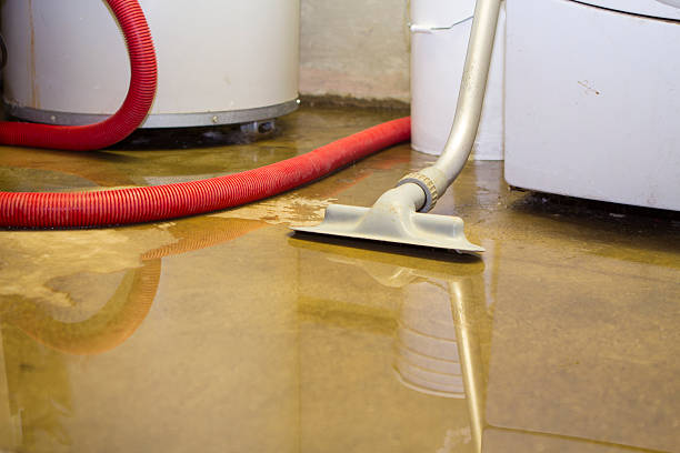 Best Emergency water damage restoration  in Denmark, WI