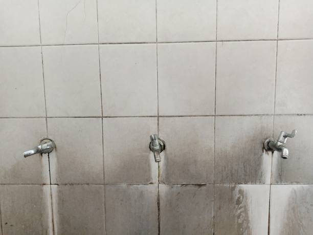 Best Emergency water damage restoration  in Denmark, WI