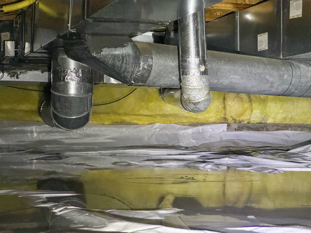Best Carpet water damage restoration  in Denmark, WI