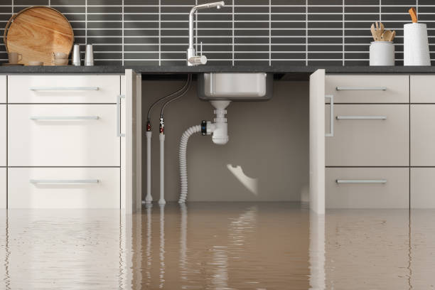 Best Water damage restoration process  in Denmark, WI