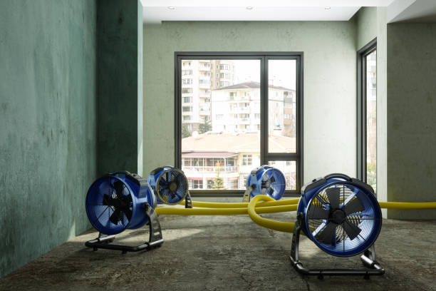 Best Sewage cleanup and water damage restoration  in Denmark, WI